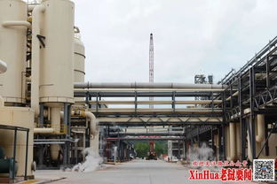中国建设现代化纸浆厂将促进老挝区域发展